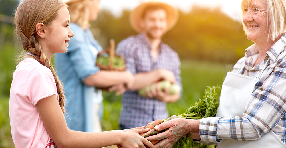 Ernährungsräte: Agrar- und Ernährungswende selbst machen