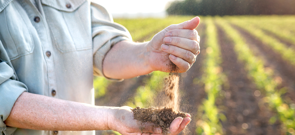 Regenerative Landwirtschaft: Gute Idee oder Greenwashing?