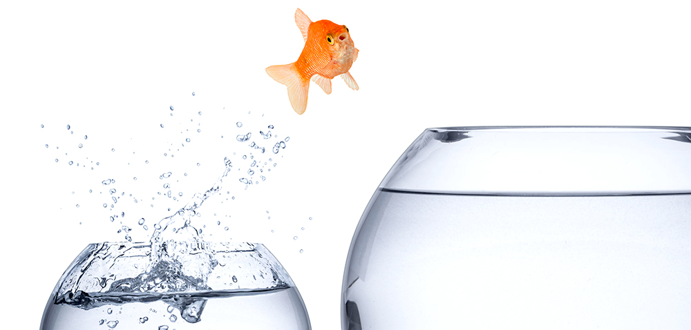 Komfortzone verlassen – warum? Komfortzone verlassen – warum?